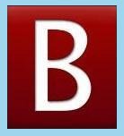 Bohemia Prague Airport Transfers logo