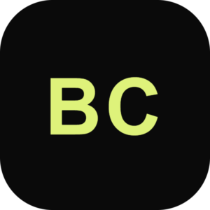 Bulgaria Chauffeur logo