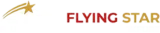 FlyingStar Airport Transfer Frankfurt logo