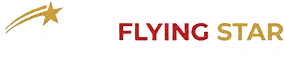 FlyingStar Airport Transfer Frankfurt logo