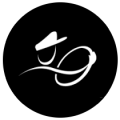 VTC Lyon Chauffeur Privé logo